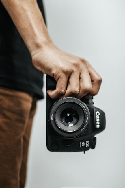 delonghi magnifica 3300 manual