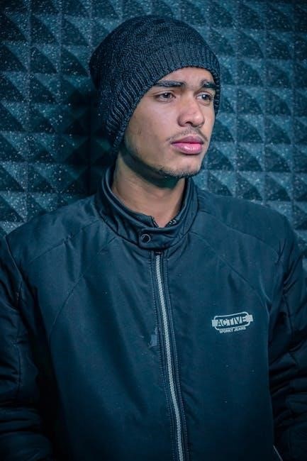 manual for dji phantom 3 standard