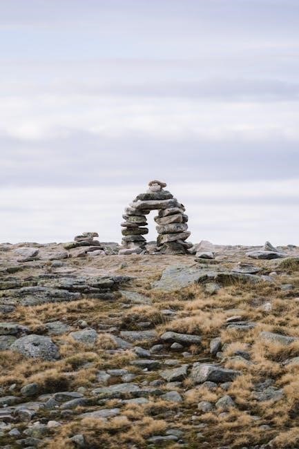 harmony 650 remote control manual