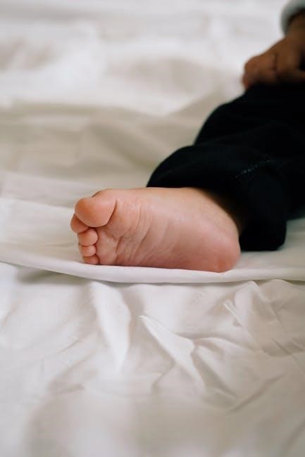 macro cheat sheet pdf