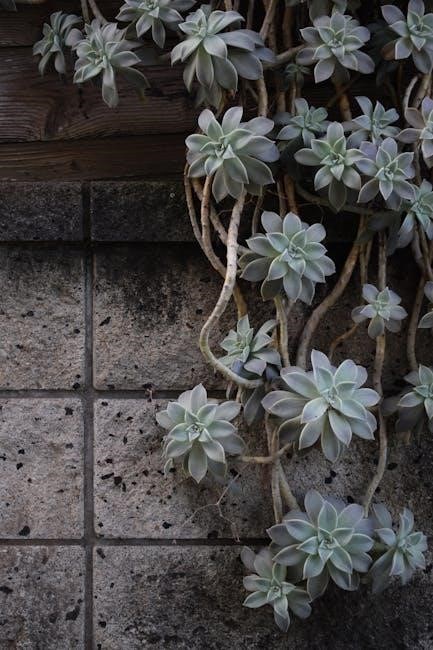 vocabulary packets: greek and latin roots pdf