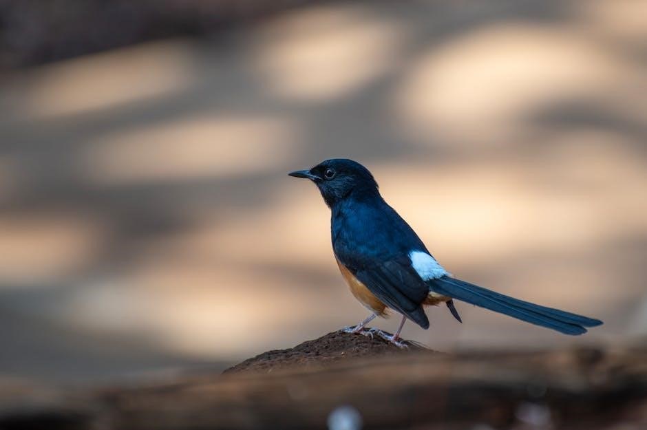 ryoko’s guide to the yokai realms pdf free ryoko’s guide to the yokai realms pdf free