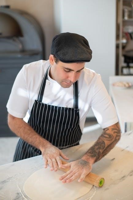 master chef air fryer manual