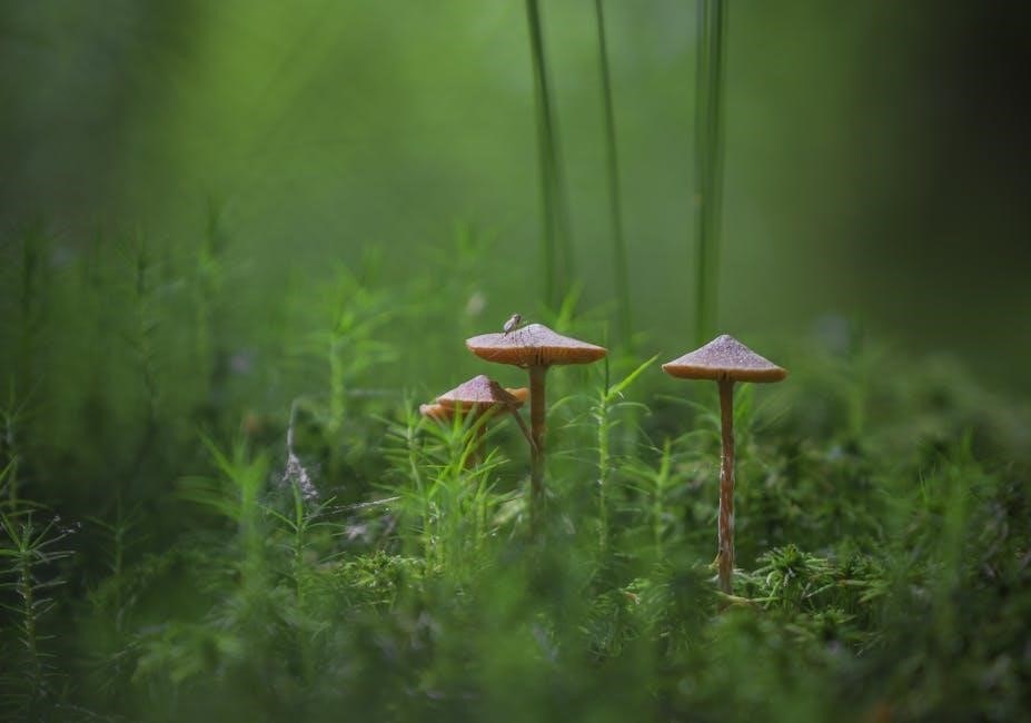 story of three little pigs pdf