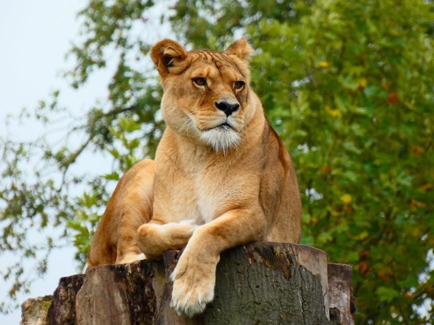 lulu the lioness answer key pdf